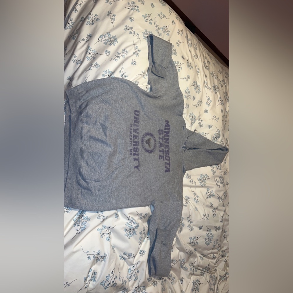 Minnesota State university Hoodie
